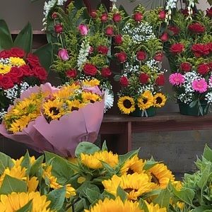 Meet your Posher, Marlene